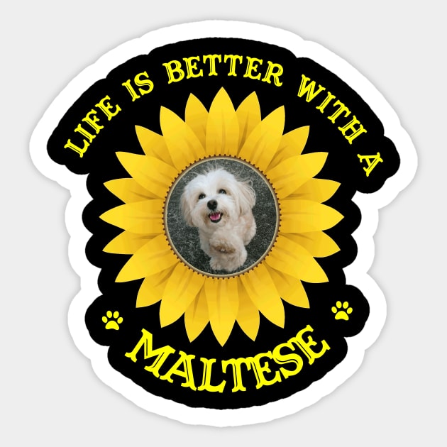 Maltese Lovers Sticker by bienvaem